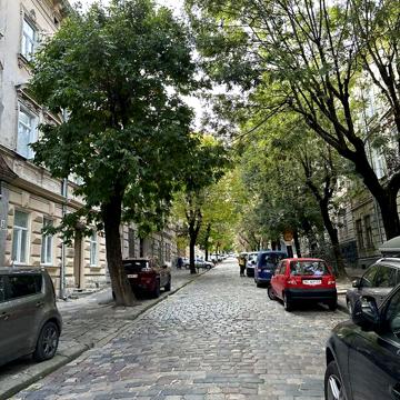 Продаж 1к Квартира Олени Степанівни вулиця