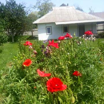 Будинок в селі Великий Крупіль