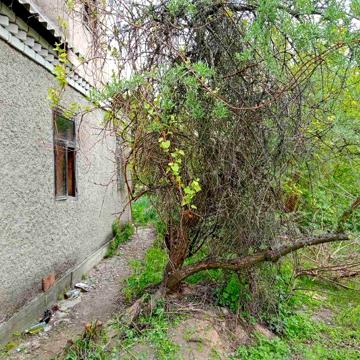 Продам дачу. с/т Сосновый бор.Чайка