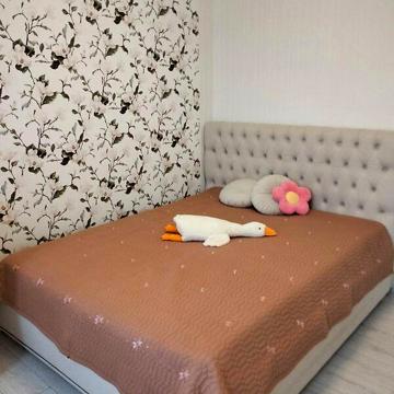 Довгострокова оренда 2к Квартира Покровська вулиця ЖК Капучино