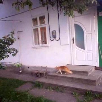 Продам жилий будинок