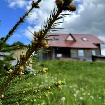 Продаж будинку в Карпатах!Терміново!