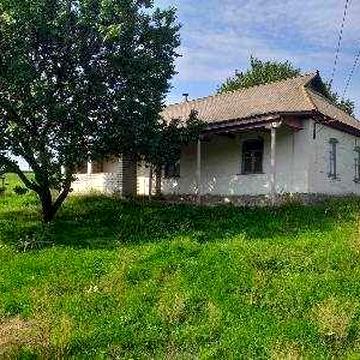 Продам цегляний будинок та 56 сот.  с.Скибин, Жашків, Черкаська обл