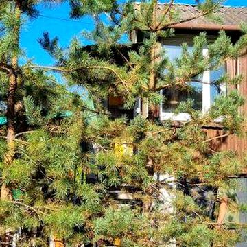 Оренда будинка на Русанівських садах