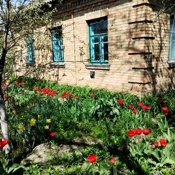 Продаю будинок  в селі.