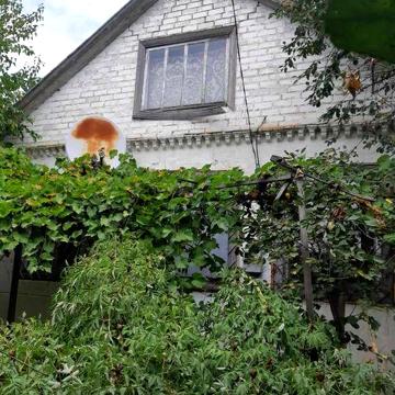 Будинок у селі з городом, річка, Зачепилівський р-н Хар.обл