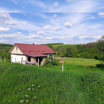 Продам будинок з ділянкою