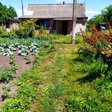 Будинок в машівці