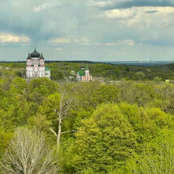 Метрологічна вул., 27А