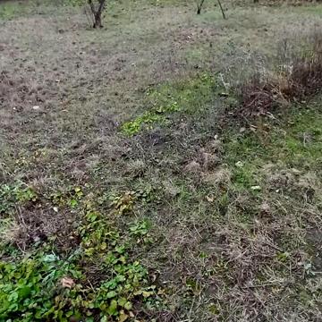Продаж 8к Дім Вишнева (Жовтнева) вулиця
