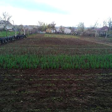 Продаж 8к Дім Грушевського вулиця