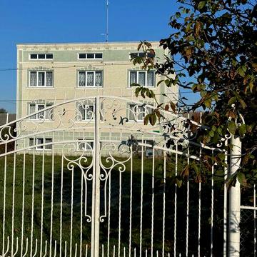 Будинок в Карпатах