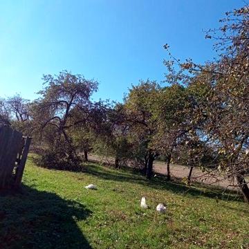 Продаж нерухомості. 2 участка.