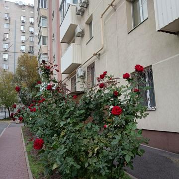 Січових Стрільців вул. (Артема), 90Б