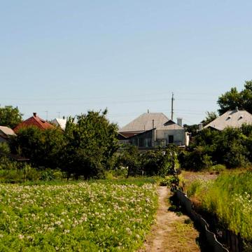 Васищево дом по центральной улице