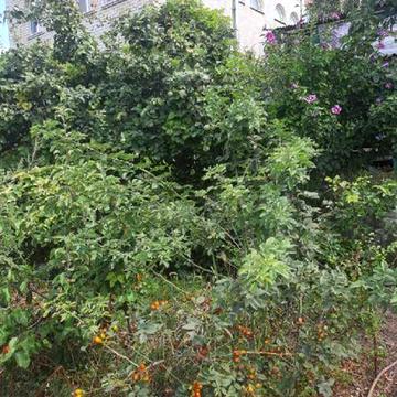 Продаётся уютная зимняя дача в Черноморке