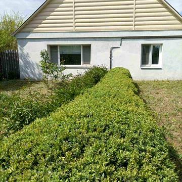 Будинок з сучасним ремонтом і великим участком