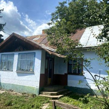 Будинок в с. Мала Плавуча