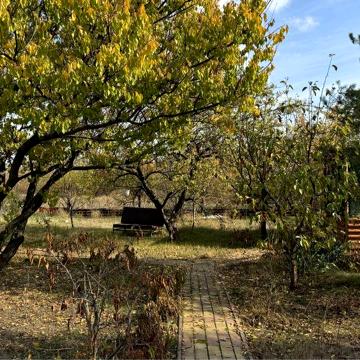 Дачна ділянка з будинком в Кооперативі "Електродник" с. Камяне
