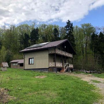 камяна