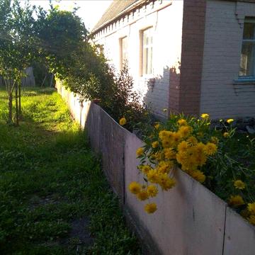 Цегляний будинок та 60 соток ділянка