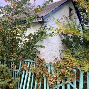 Оренда будинку в центральній частині