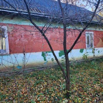 Продам домоволодіння- дешево, терміново!