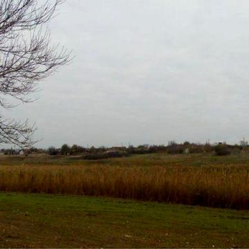 Будинок, Село Трихатське