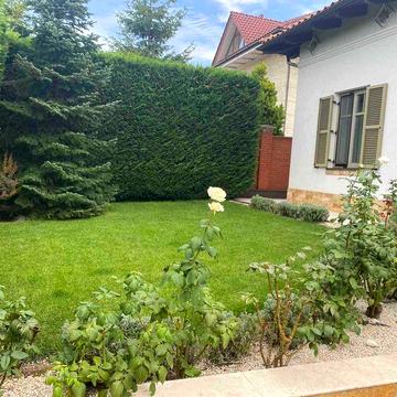 Качественный одноэтажный дом в Совиньоне