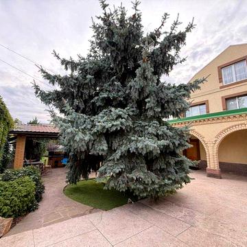 Продам дом-240 м.кв. Район Терры (12-квартал). Краснополье