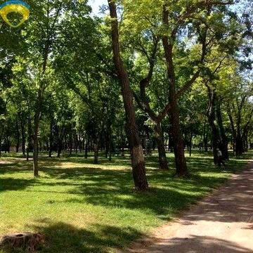 Уютная квартира в центре для большой семьи