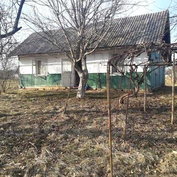 Продається будинок у селі