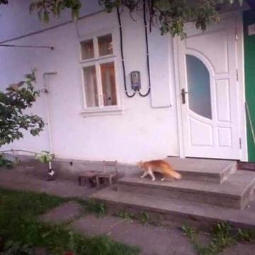 Продаж 5к Дім Драгоманова вулиця
