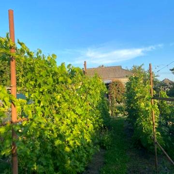 Продаж 6к Дім вул. Лесі Українки