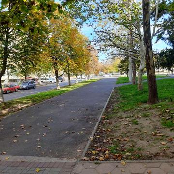 Квартира 1 этаж с перепланировкой 107 квадратов подойдёт под коммерцию