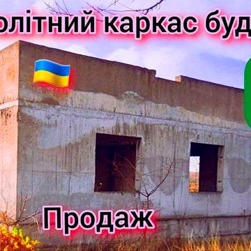 Монолітна новобудова і дворище 24 сотки приватизовано - Є відеоогляд