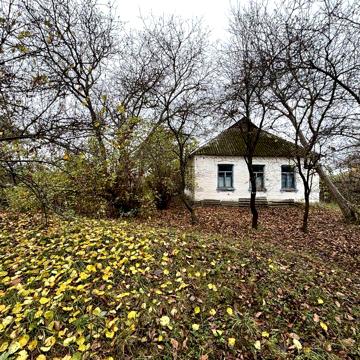 Продається 50 соток з будинком у селі Боровикове, Черкаська область