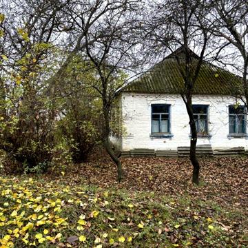 Продається 50 соток з будинком у селі Боровикове, Черкаська область