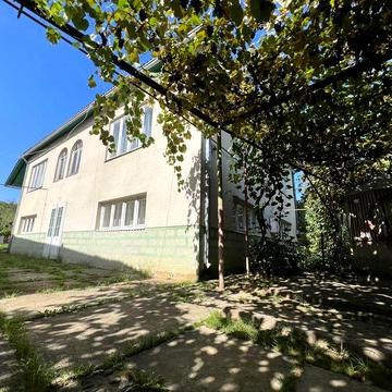 Продається будинок Виноградів