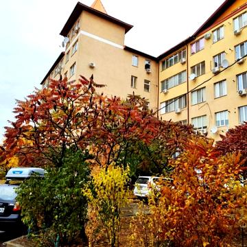 Новоолександрівська вул., 54а