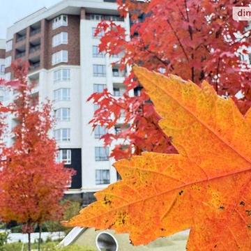 Продаж 1к Квартира Ольги Кобилянської (Достоєвського) вулиця ЖК Синергия Сити