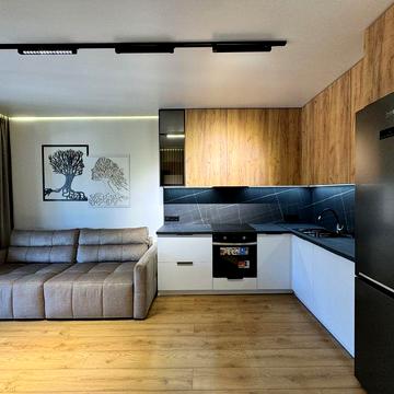 Квартира з ткрасою в бізнес комплексі