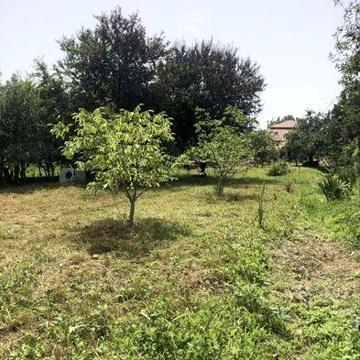Будинок  в м. Берегове неподалік центру і термальних басейнів