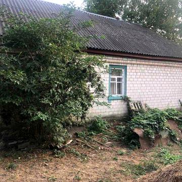 Пропоную до продажу будинок в с. Степанки (ціну знижено)