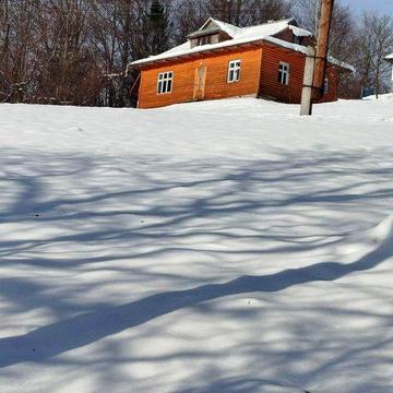 Будинок в Карпатах