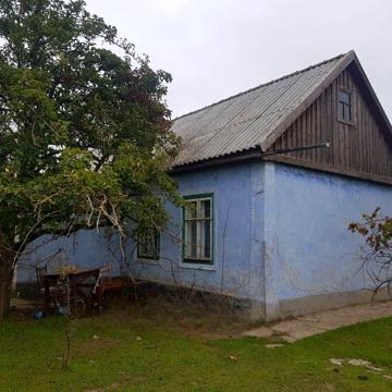 Лугового
