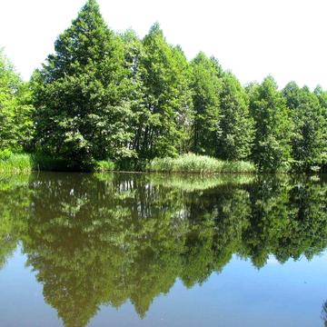 Продаж  будинку в Овручі