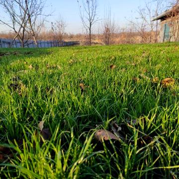 Продам будинок, дача,  біля річки