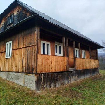 Будинок в Карпатах