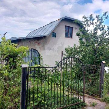 Дачний будинок з ділянкою Курники